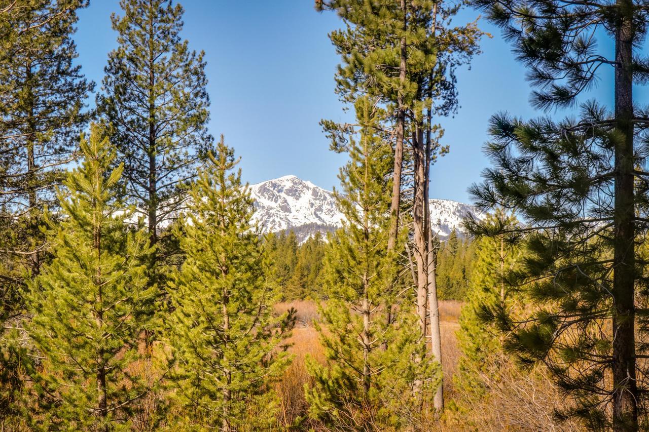 Вилла Cozy Seclusion Саус Лэйк Тахо Экстерьер фото